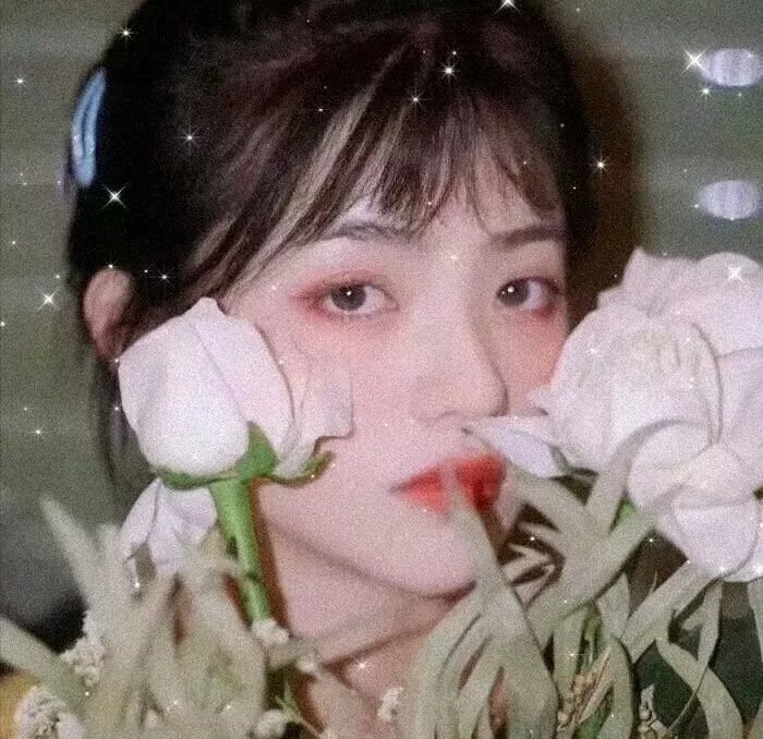 黏爱24